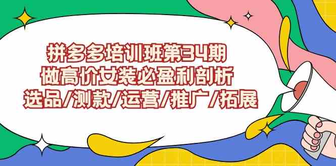 （9333期）拼多多培训班第34期：做高价女装必盈利剖析  选品/测款/运营/推广/拓展_111创业网-互联网轻创第一站