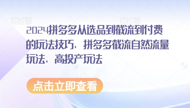 2024拼多多从选品到截流到付费的玩法技巧，拼多多截流自然流量玩法，高投产玩法_111创业网-互联网轻创第一站