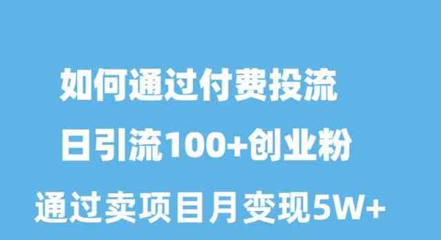 （10189期）如何通过付费投流日引流100+创业粉月变现5W+_111创业网-互联网轻创第一站