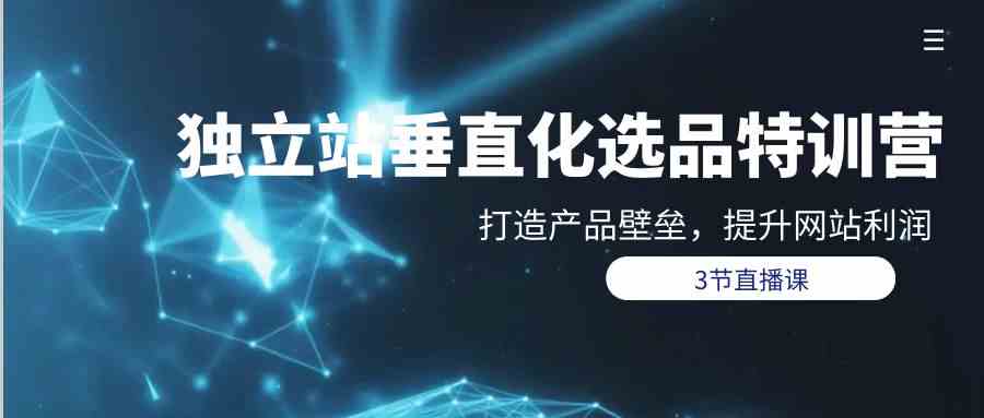 （9925期）独立站-垂直化选品训练营，打造产品壁垒，提升网站利润（3节直播课）_111创业网-互联网轻创第一站