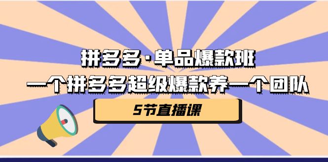 拼多多·单品爆款班，一个拼多多超级爆款养一个团队（5节直播课）_111创业网-互联网轻创第一站