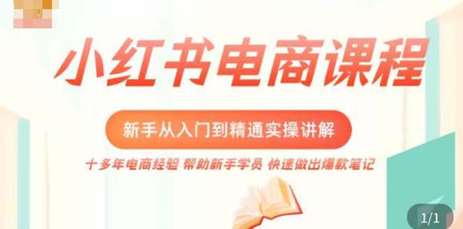小红书电商新手入门到精通实操课，从入门到精通做爆款笔记，开店运营_111创业网-互联网轻创第一站