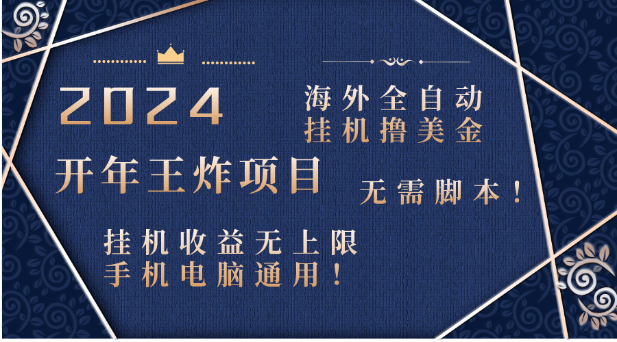 2024海外全自动挂机撸美金项目！手机电脑均可，无需脚本，收益无上限！_111创业网-互联网轻创第一站