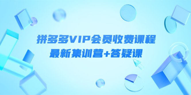 某社群·拼多多VIP会员收费课程，最新集训营+答疑课-价值3299元￼_111创业网-互联网轻创第一站