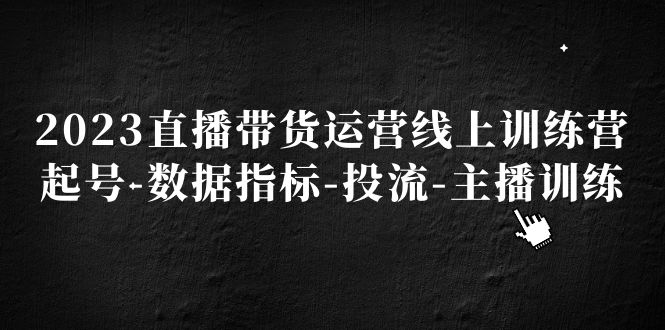 2023直播带货运营线上训练营，起号-数据指标-投流-主播训练_111创业网-互联网轻创第一站