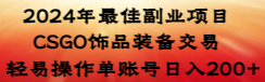 2024年最佳副业项目 CSGO饰品装备交易 轻易操作单账号日入200+_111创业网-互联网轻创第一站