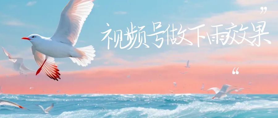 视频号做下雨视频一个账号一周涨粉10W+年入100w_111创业网-互联网轻创第一站