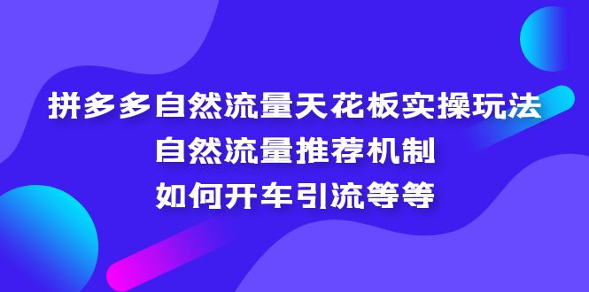 拼多多自然流量天花板实操玩法：自然流量推荐机制，如何开车引流等等_111创业网-互联网轻创第一站