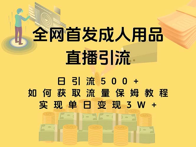 最新全网独创首发，成人用品直播引流获客暴力玩法，单日变现3w保姆级教程_111创业网-互联网轻创第一站
