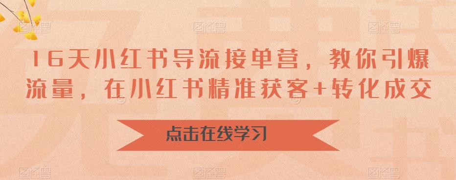16天-小红书 导流接单营，教你引爆流量，在小红书精准获客+转化成交_111创业网-互联网轻创第一站