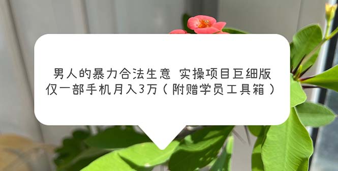 男人的暴力合法生意实操项目巨细版：仅一部手机月入3w（附赠学员工具箱）_111创业网-互联网轻创第一站