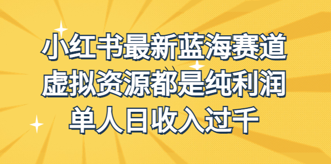 外面收费1980的小红书最新蓝海赛道，虚拟资源都是纯利润，单人日收入过千_111创业网-互联网轻创第一站
