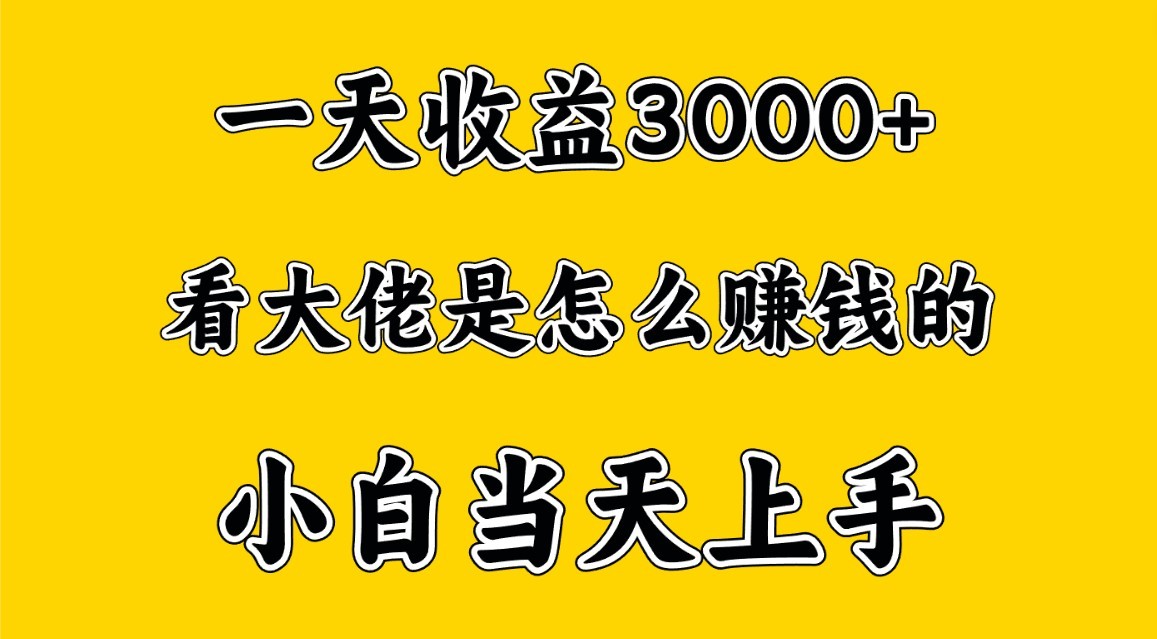 一天赚3000多，大佬是这样赚到钱的，小白当天上手，穷人翻身项目_111创业网-互联网轻创第一站