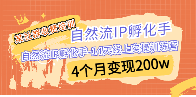 某社群收费培训：自然流IP 孵化手-14天线上实操训练营 4个月变现200w_111创业网-互联网轻创第一站
