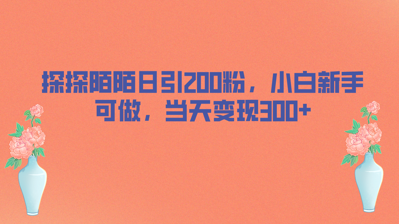 探探陌陌日引200粉，小白新手可做，当天就能变现300+_111创业网-互联网轻创第一站