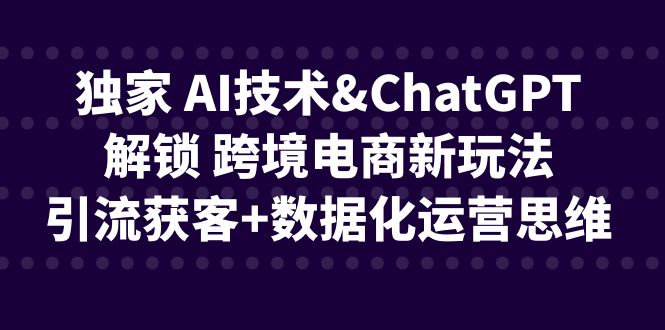 独家 AI技术&ChatGPT解锁 跨境电商新玩法，引流获客+数据化运营思维_111创业网-互联网轻创第一站