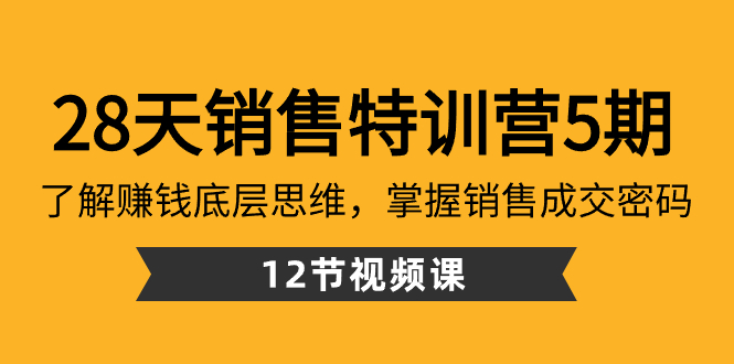 28天·销售特训营5期：了解赚钱底层思维，掌握销售成交密码（12节课）_111创业网-互联网轻创第一站