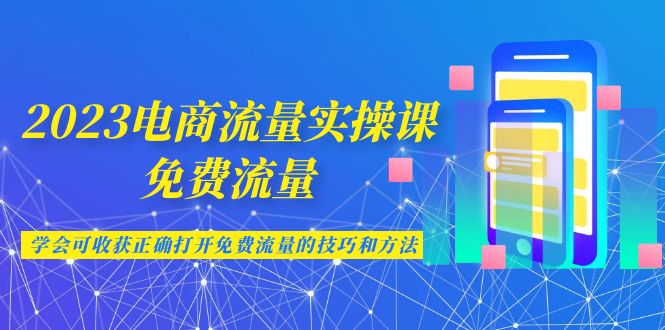 2023电商流量实操课-免费流量，学会可收获正确打开免费流量的技巧和方法_111创业网-互联网轻创第一站