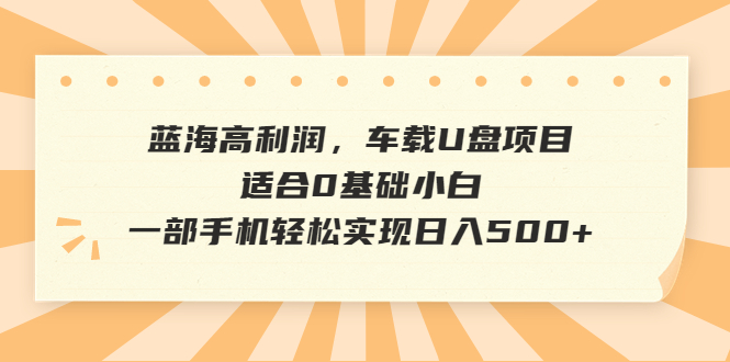 蓝海高利润，车载U盘项目，适合0基础小白，一部手机轻松实现日入500+_111创业网-互联网轻创第一站