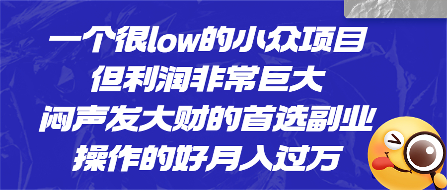 一个很low的小众项目，但利润非常巨大，闷声发大财的首选副业，月入过万_111创业网-互联网轻创第一站
