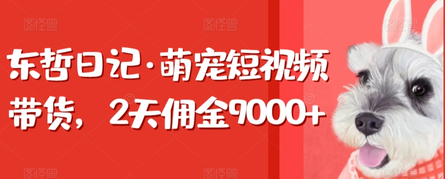 东哲日记·萌宠短视频带货，2天佣金9000+_111创业网-互联网轻创第一站