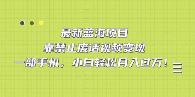 最新蓝海项目，靠禁止废话视频变现，一部手机，小白轻松月入过万！_111创业网-互联网轻创第一站