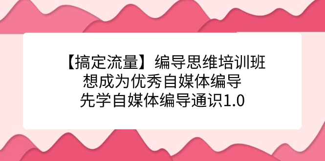 【搞定流量】编导思维培训班，想成为优秀自媒体编导先学自媒体编导通识1.0_111创业网-互联网轻创第一站