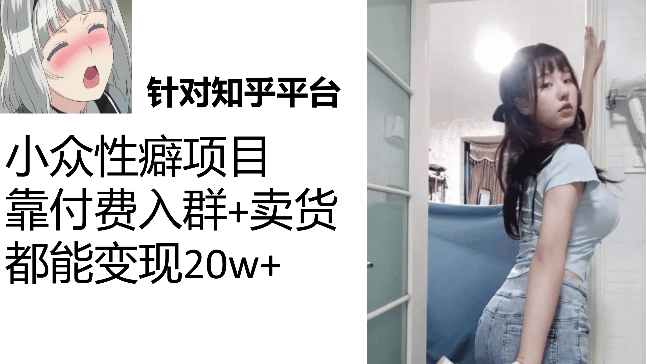 知乎小众性癖项目，Lsp的钱才是最好赚的，付费建群+卖货变现20w_111创业网-互联网轻创第一站