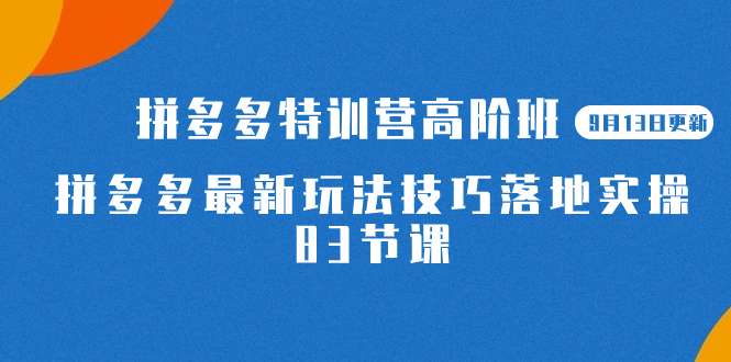 2023拼多多·特训营高阶班【9月19日更新】拼多多最新玩法技巧落地实操-83节_111创业网-互联网轻创第一站