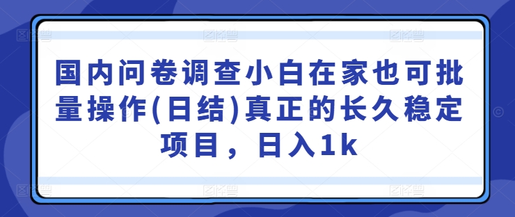 国内问卷调查小白在家也可批量操作(日结)真正的长久稳定项目，日入1k【揭秘】_111创业网-互联网轻创第一站