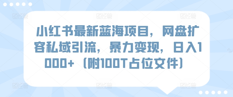 小红书最新蓝海项目，网盘扩容私域引流，暴力变现，日入1000+（附100T占位文件）_111创业网-互联网轻创第一站