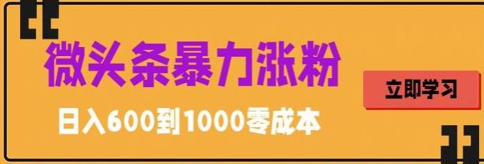 微头条暴力涨粉技巧搬运文案就能涨几万粉丝，简单0成本，日赚600_111创业网-互联网轻创第一站