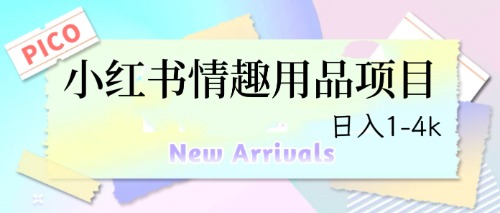最新小红书情趣用品项目，日入1-4k_111创业网-互联网轻创第一站