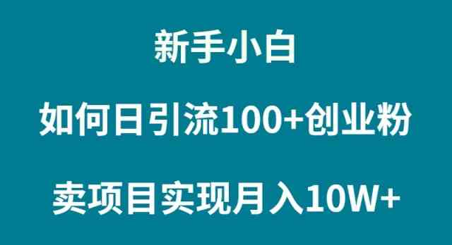（9556期）新手小白如何通过卖项目实现月入10W+_111创业网-互联网轻创第一站