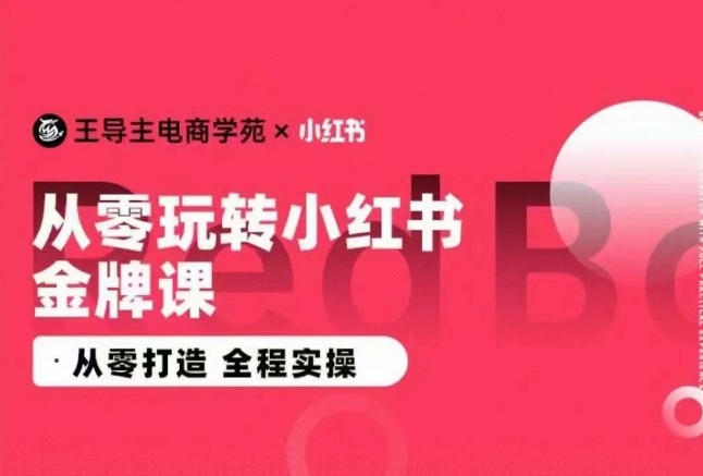 王导主·小红书电商运营实操课，​从零打造  全程实操_111创业网-互联网轻创第一站