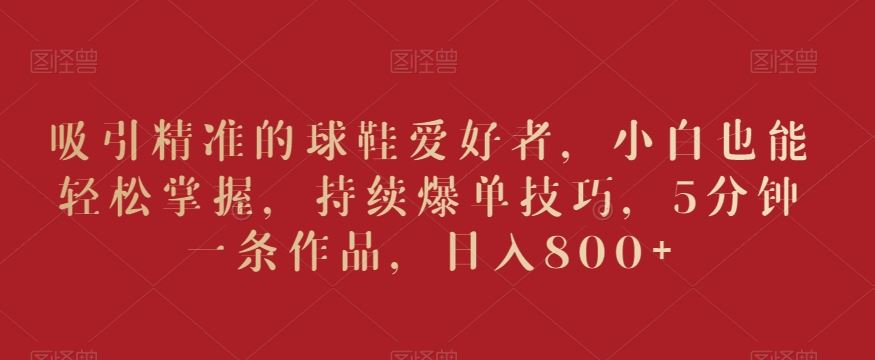 吸引精准的球鞋爱好者，小白也能轻松掌握，持续爆单技巧，5分钟一条作品，日入800+【揭秘】_111创业网-互联网轻创第一站