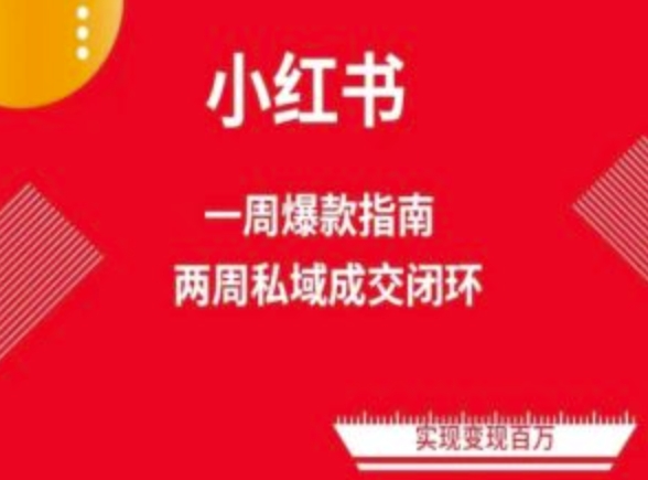 爆款小红书免费流量体系课程(两周变现)，小红书电商教程_111创业网-互联网轻创第一站
