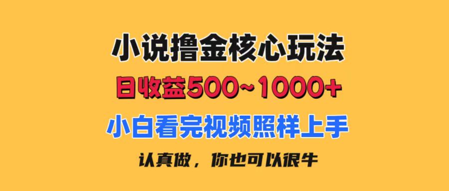 小说撸金核心玩法，日收益500-1000+，小白看完照样上手，0成本有手就行_111创业网-互联网轻创第一站