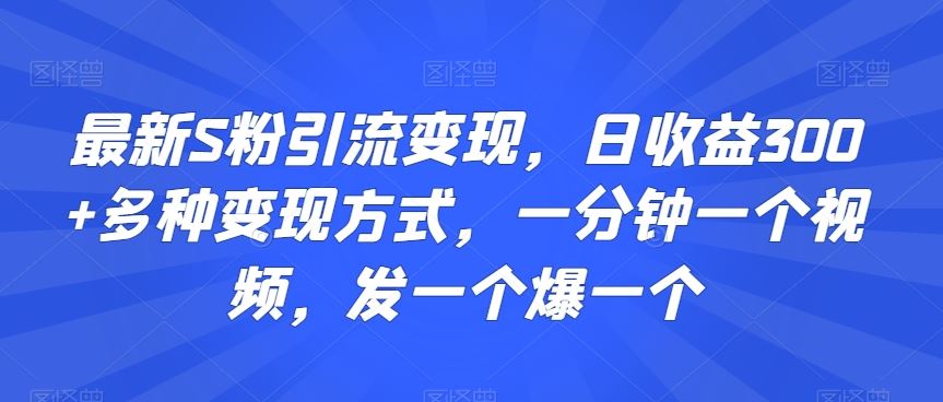 最新S粉引流变现，日收益300+多种变现方式，一分钟一个视频，发一个爆一个【揭秘】_111创业网-互联网轻创第一站