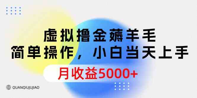 （9864期）虚拟撸金薅羊毛，简单操作，小白当天上手，月收益5000+_111创业网-互联网轻创第一站