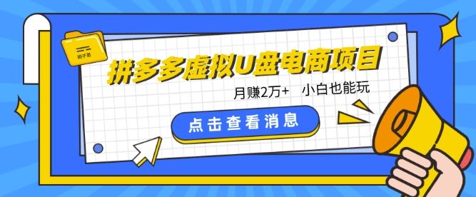 拼多多虚拟U盘电商红利项目：月赚2万+，新手小白也能玩_111创业网-互联网轻创第一站