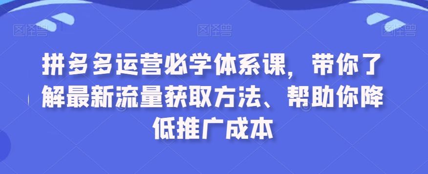 拼多多运营必学体系课，带你了解最新流量获取方法、帮助你降低推广成本_111创业网-互联网轻创第一站