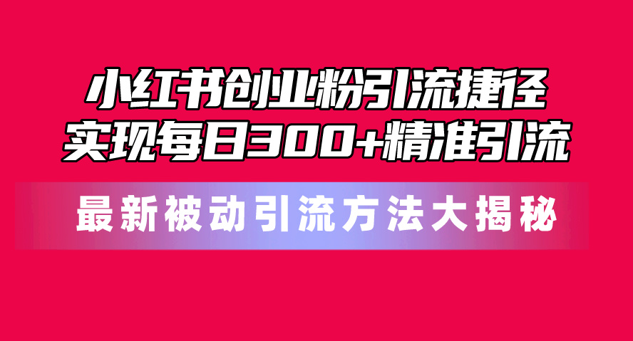 （10692期）小红书创业粉引流捷径！最新被动引流方法大揭秘，实现每日300+精准引流_111创业网-互联网轻创第一站