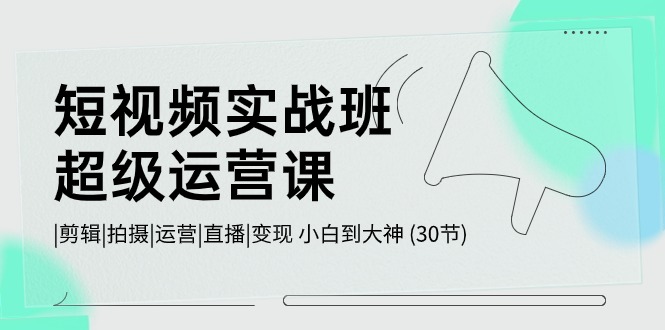 短视频实战班超级运营课 |剪辑|拍摄|运营|直播|变现 小白到大神 (30节)_111创业网-互联网轻创第一站