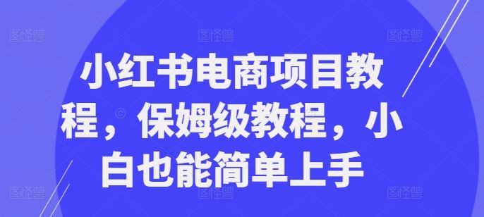 小红书电商项目教程，保姆级教程，小白也能简单上手_111创业网-互联网轻创第一站