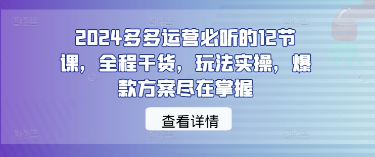2024多多运营必听的12节课，全程干货，玩法实操，爆款方案尽在掌握_111创业网-互联网轻创第一站