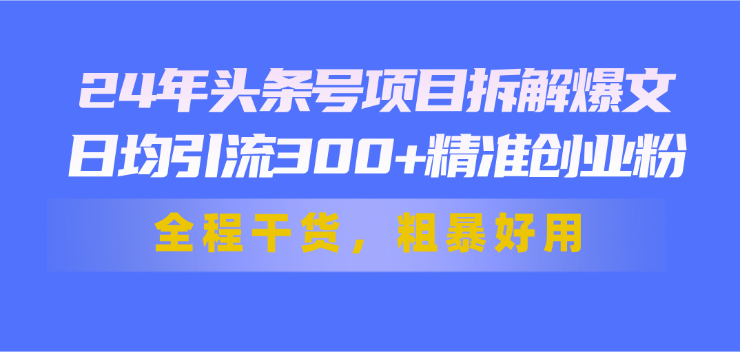 24年头条号项目拆解爆文，日均引流300+精准创业粉，全程干货，粗暴好用_111创业网-互联网轻创第一站