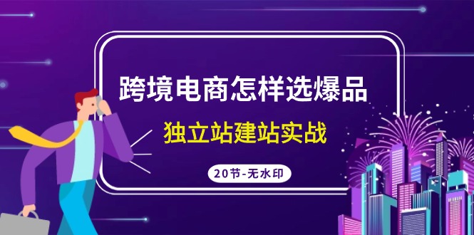 跨境电商怎样选爆品，独立站建站实战（20节高清课）_111创业网-互联网轻创第一站
