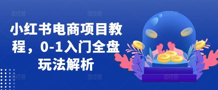 小红书电商项目教程，0-1入门全盘玩法解析_111创业网-互联网轻创第一站