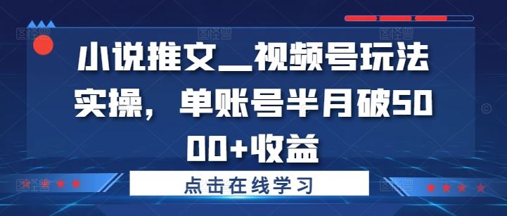 小说推文—视频号玩法实操，单账号半月破5000+收益_111创业网-互联网轻创第一站